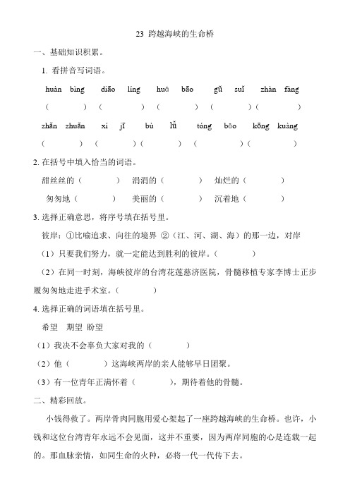 跨越海峡的生命桥练习题及答案