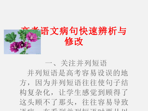 高考语文 语病类型及相关知识梳理课件 新人教版