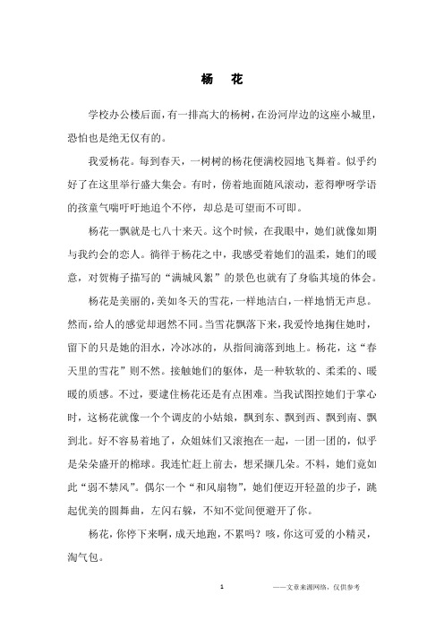 杨   花_初中生