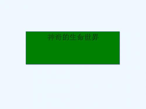 九年级道德与法治上册 第三单元 倾听自然的声音 第七课 生命之间 第1框 神奇的生命世界讲义 人民版