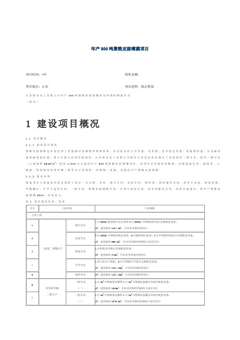 年产500吨聚酰亚胺薄膜项目方案