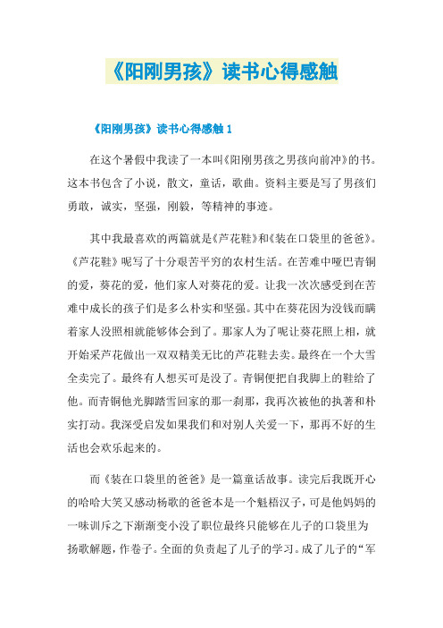 《阳刚男孩》读书心得感触