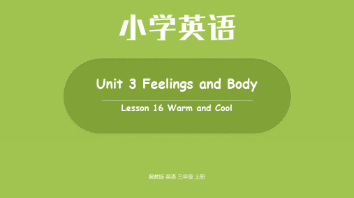 冀教版 英语三年级上册Unit3Lesson16