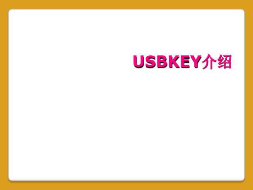 USBKEY介绍