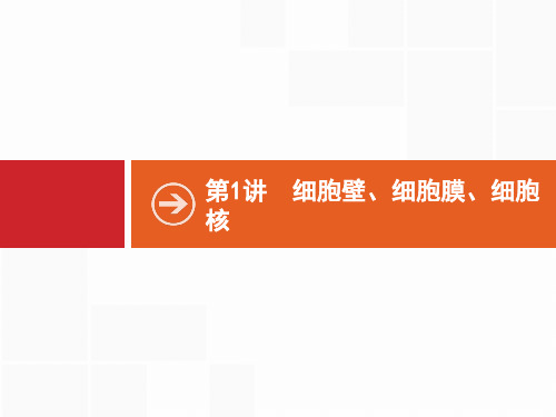 必修1 第2单元 第1讲 细胞壁、细胞膜、细胞核