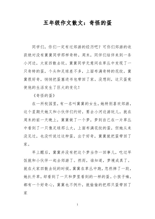 五年级作文散文：奇怪的蛋