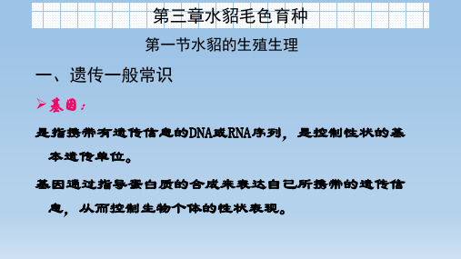第三章水貂毛色育种