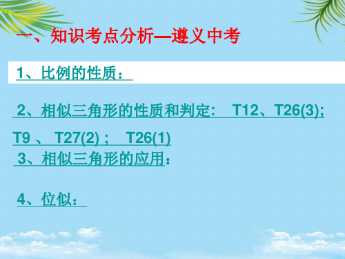 【精】中考总复习 —图形的相似PPT全面版