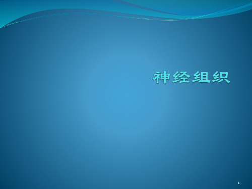 神经细胞PPT医学课件