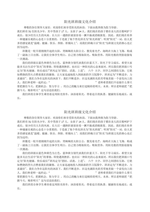 阳光班班级文化介绍1