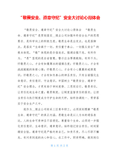“敬畏安全、遵章守纪”安全大讨论心得体会