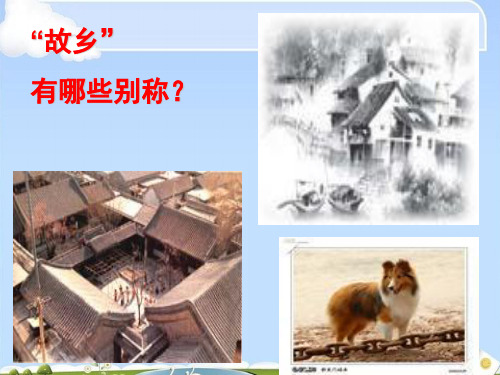 乡土情结ppt18 课件