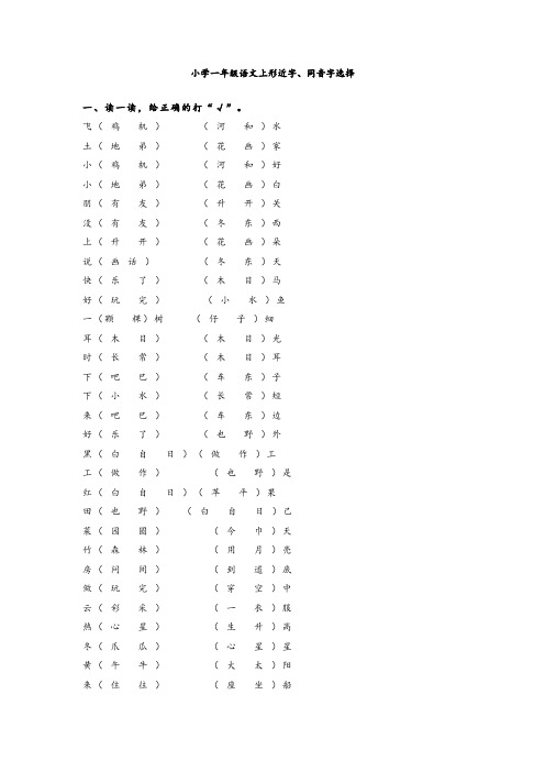 小学一年级语文上形近字、同音字选择练习