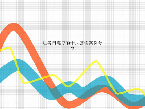 让美国震惊的十大营销案例分享
