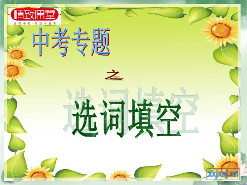 精致课堂：中考英语选词填空技巧