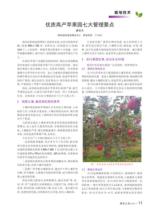 优质高产苹果园七大管理要点