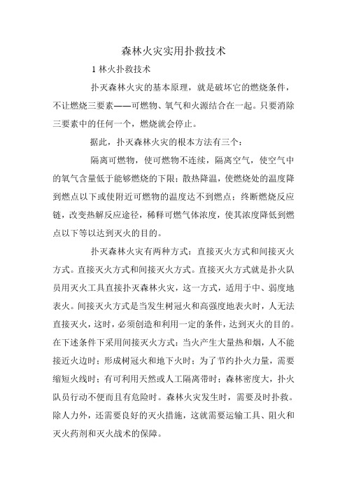 森林火灾实用扑救技术
