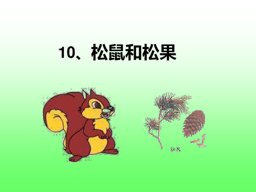 10松鼠和松果PPT课件