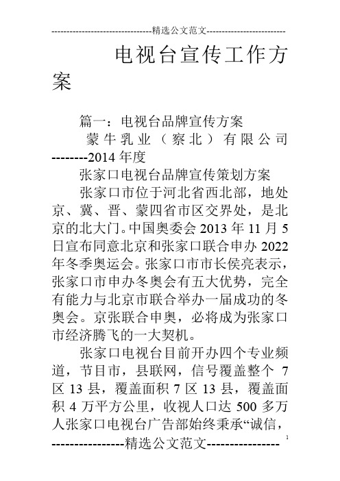 电视台宣传工作方案