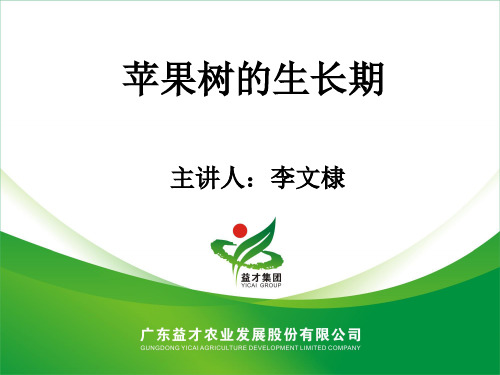 苹果的生长期-李文棣