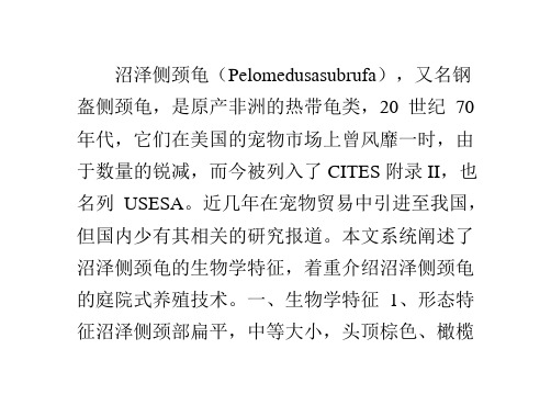 沼泽侧颈龟生物学特性及庭院养殖技术介绍