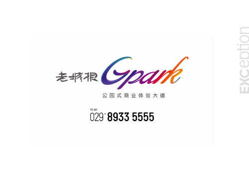 例外传播-西安老城根Gpark下阶段策略梳理20...