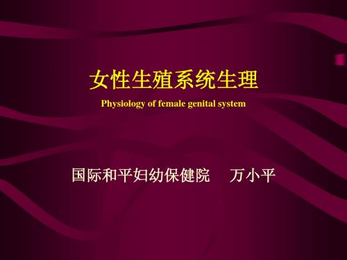 女性生殖系统生理