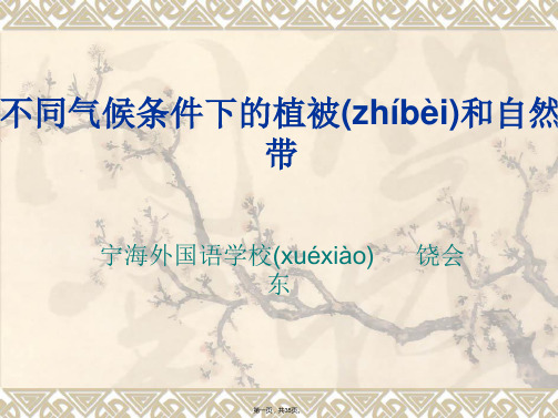 江苏省徐州市睢宁县宁海外国语学校鲁教版地理必修一课件31地理环境的差异性1