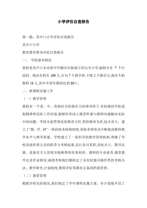 小学评估自查报告