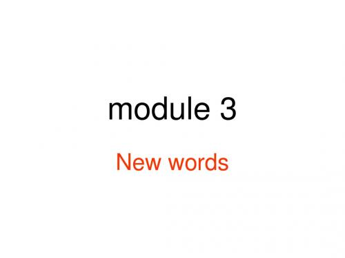 高一英语new-words课件