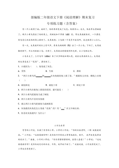 部编版二年级语文下册《阅读理解》期末复习专项练习题(含答案)