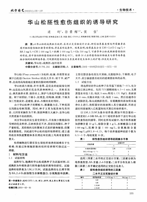 华山松胚性愈伤组织的诱导研究