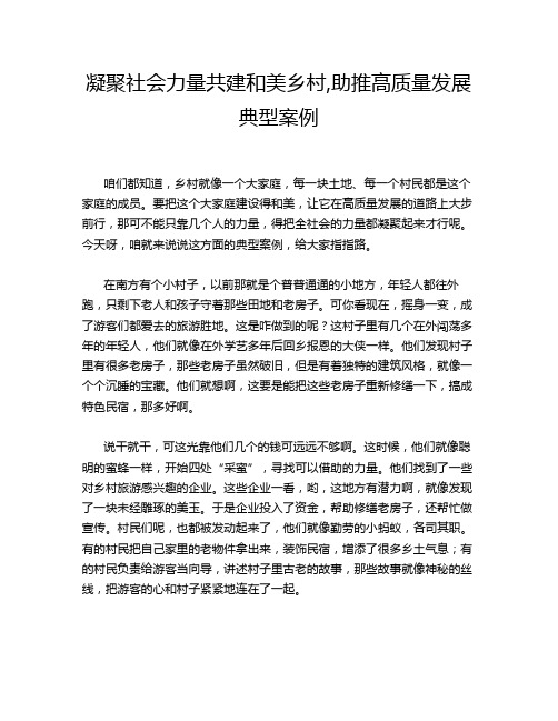 凝聚社会力量共建和美乡村,助推高质量发展典型案例