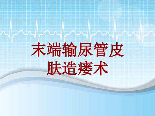 手术讲解模板：末端输尿管皮肤造瘘术