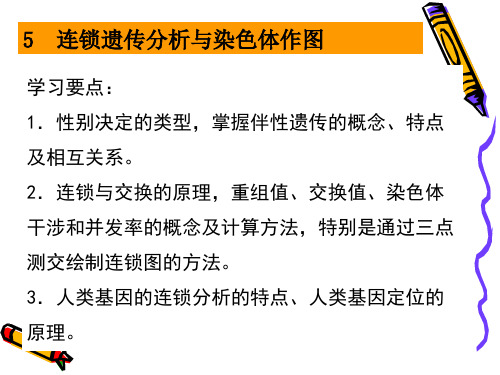 第五章连锁遗传分析PowerPointPresent