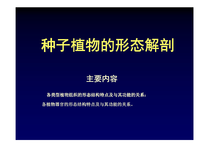 植物形态解剖