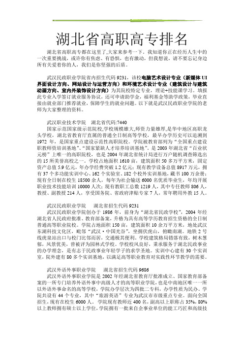 湖北省高职高专排名
