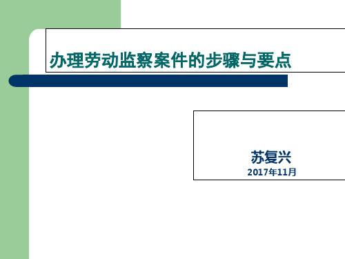 办理劳动监察案件的步骤与要点 ppt课件