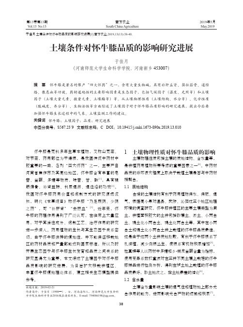 土壤条件对怀牛膝品质的影响研究进展