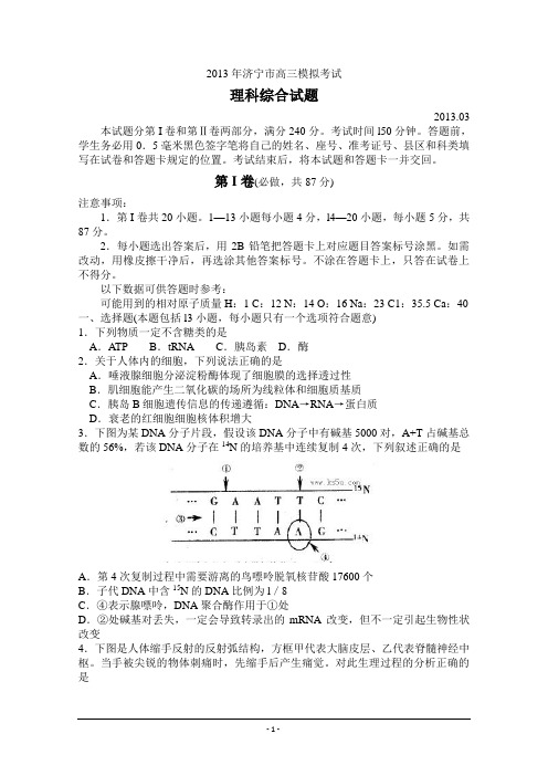 山东省济宁市2013届高三第一次模拟考试 理综 Word版含答案