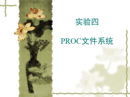 实验四 PROC文件系统