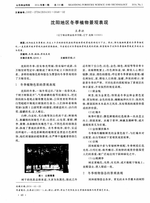沈阳地区冬季植物景观表现