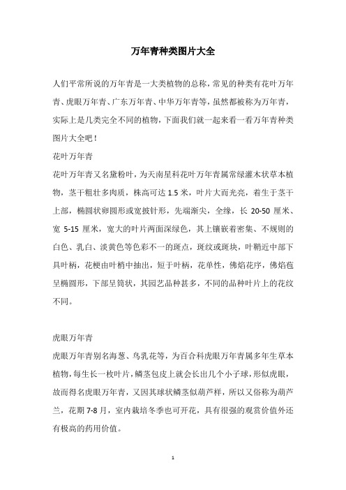 万年青种类图片大全