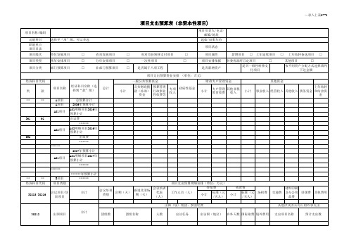 支出预算表(本非资本性项目)