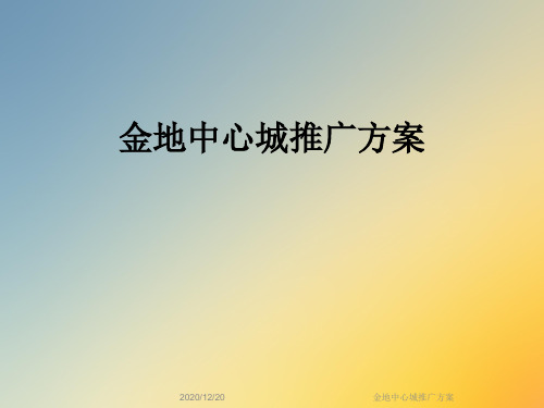 金地中心城推广方案