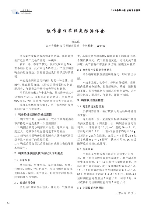 鸭传染性浆膜炎防治体会
