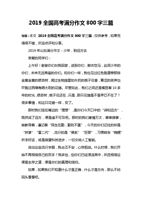 2019全国高考满分作文800字三篇