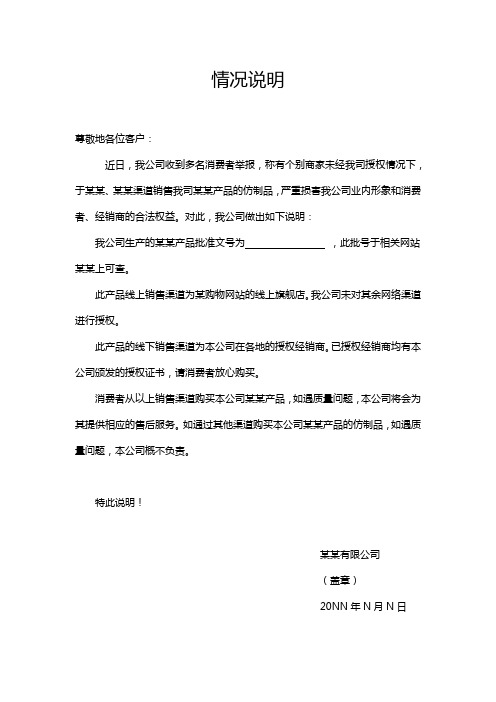 企业产品情况说明word模板