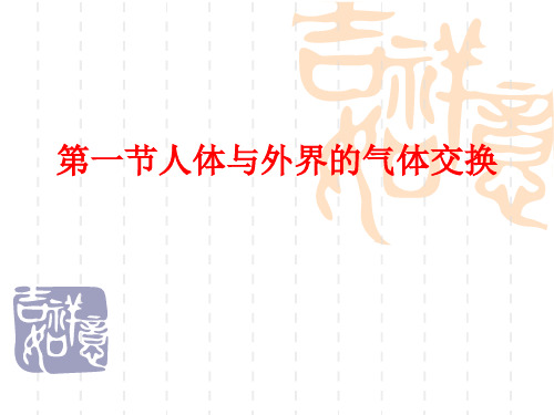 第一节人体与外界的气体交换16页
