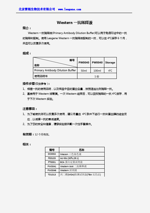 Western一抗稀释液